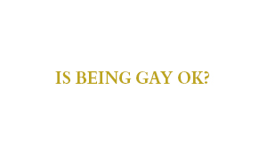 Being Gay OK