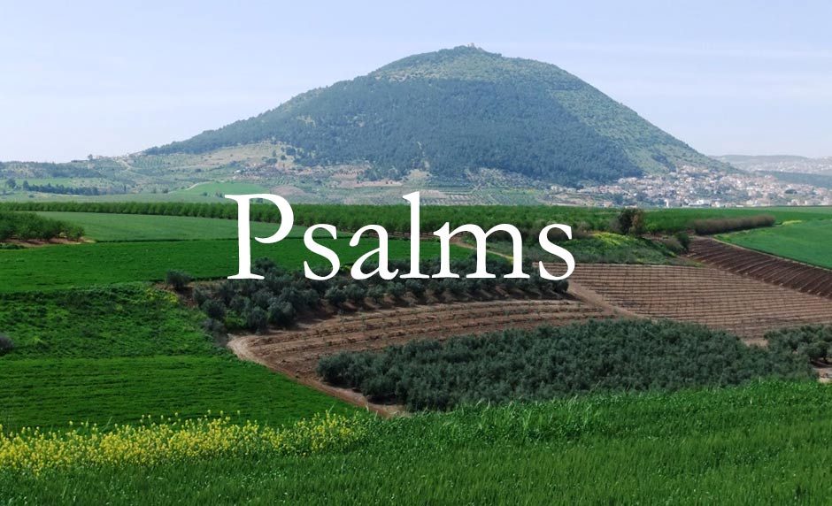 Why Overwhelmed Parents Should Seek Comfort in the Psalms [One Minute Feature]