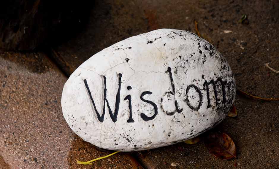 Why Parents Should Seek to Develop Wisdom [One Minute Feature]