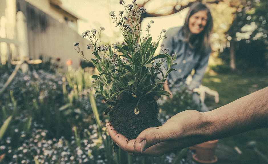 Green Thumb Parenting [One Minute Feature]