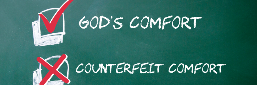 Counterfeit Comforts with Robia Scott  [Podcast]